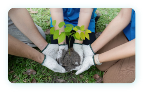 Környezettudatosság